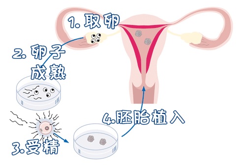 主任
